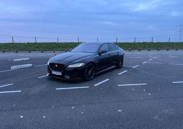 Jaguar XF cena 79900 przebieg: 115000, rok produkcji 2016 z Siemiatycze małe 301
